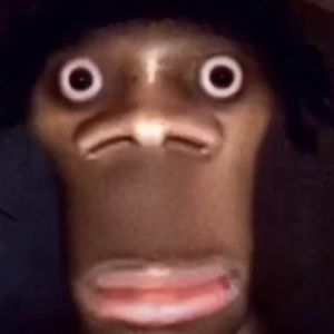 Meet your Posher, Dev